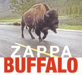 Buffalo